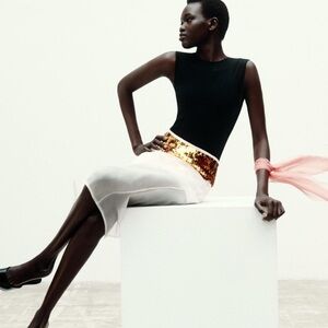 ZARA GOLD WAIST SEQUIN ORGANZA SKIRT LIMITED EDITION Bloggers favorite